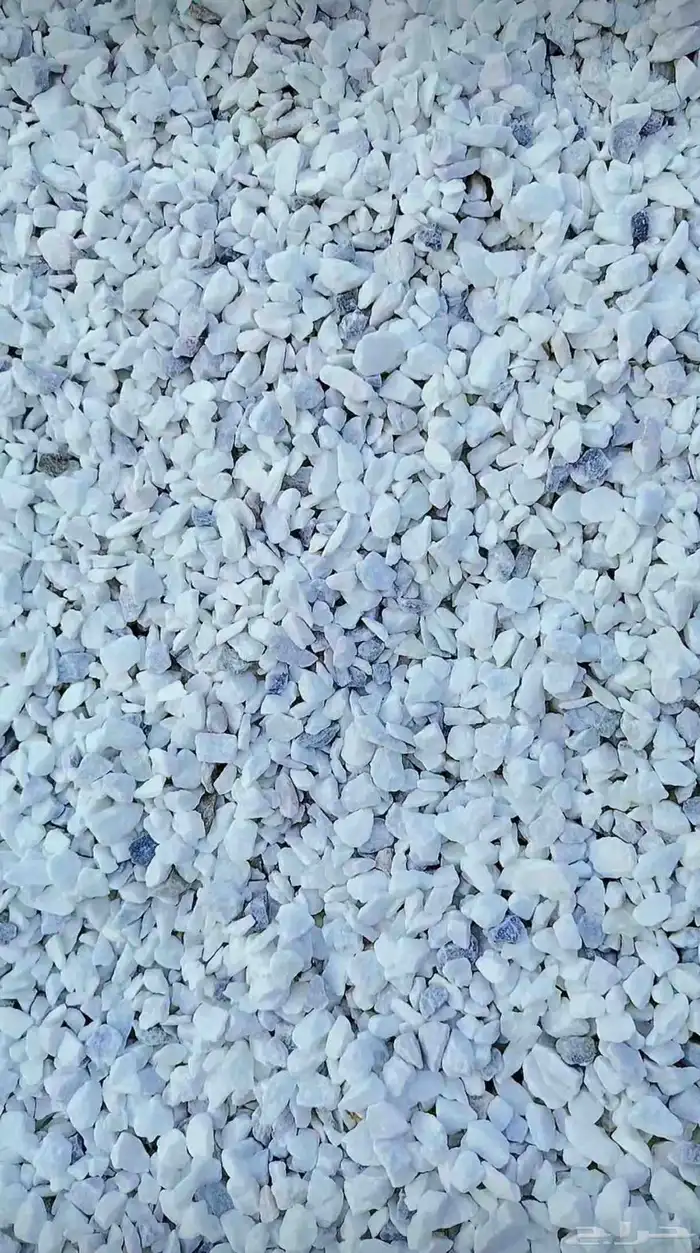 بحص ابيض صافي جده الحمدانيه ابحر الرحيلي 2