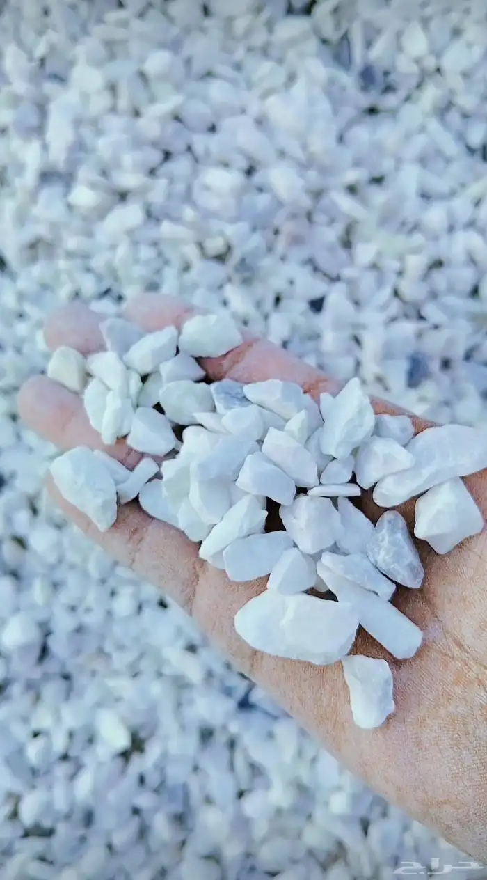 بحص ابيض صافي جده الحمدانيه ابحر الرحيلي 1