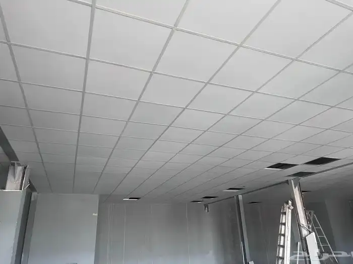 Suspended ceiling installer 60x60 and gypsum board installer 7