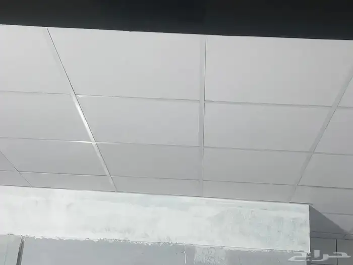 Suspended ceiling installer 60x60 and gypsum board installer 6