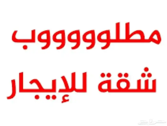 مطلوب شقه ضروري 0