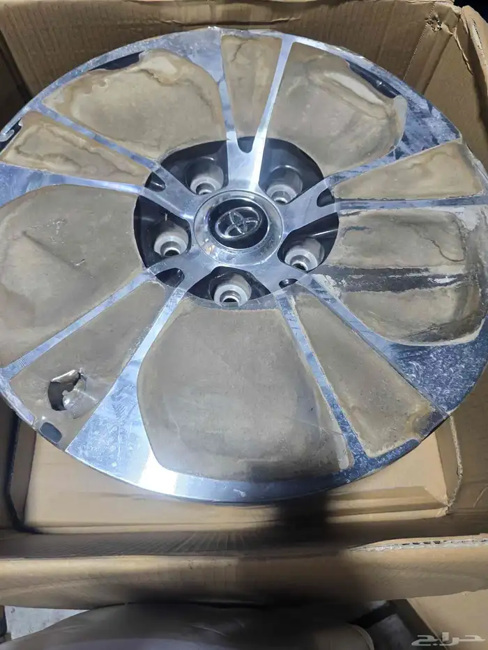 الرياض شارع الغرابي جنوط اصلي وكاله اصفار 3