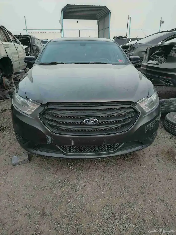 تورس 2018 3