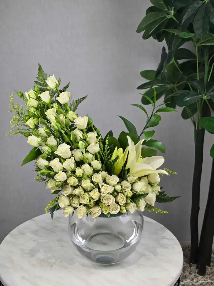 فازه ورد 0