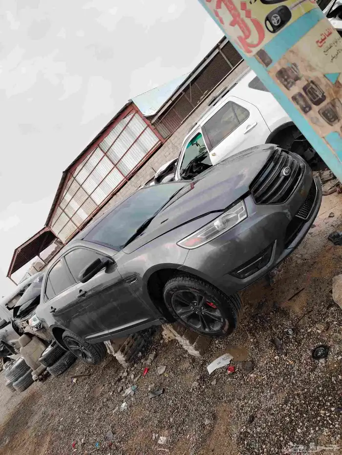 تورس 2018 1