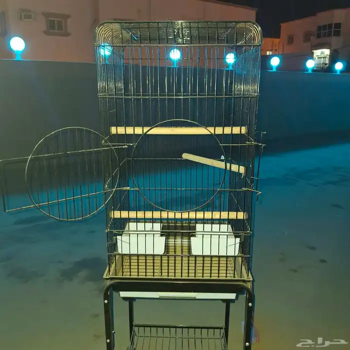 قفص عصافير 2