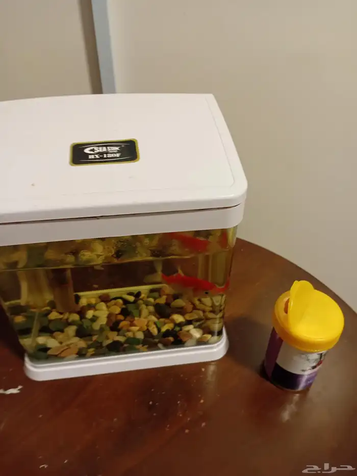 كنب امريكي مفرد قطعه واحده بحاله ممتازة. سمك زينه مع الحو 7