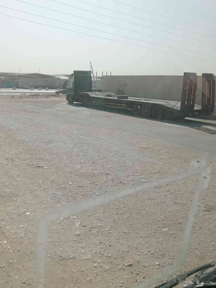 لوبد في المدينة النمور عل القصيم او ارياض 0