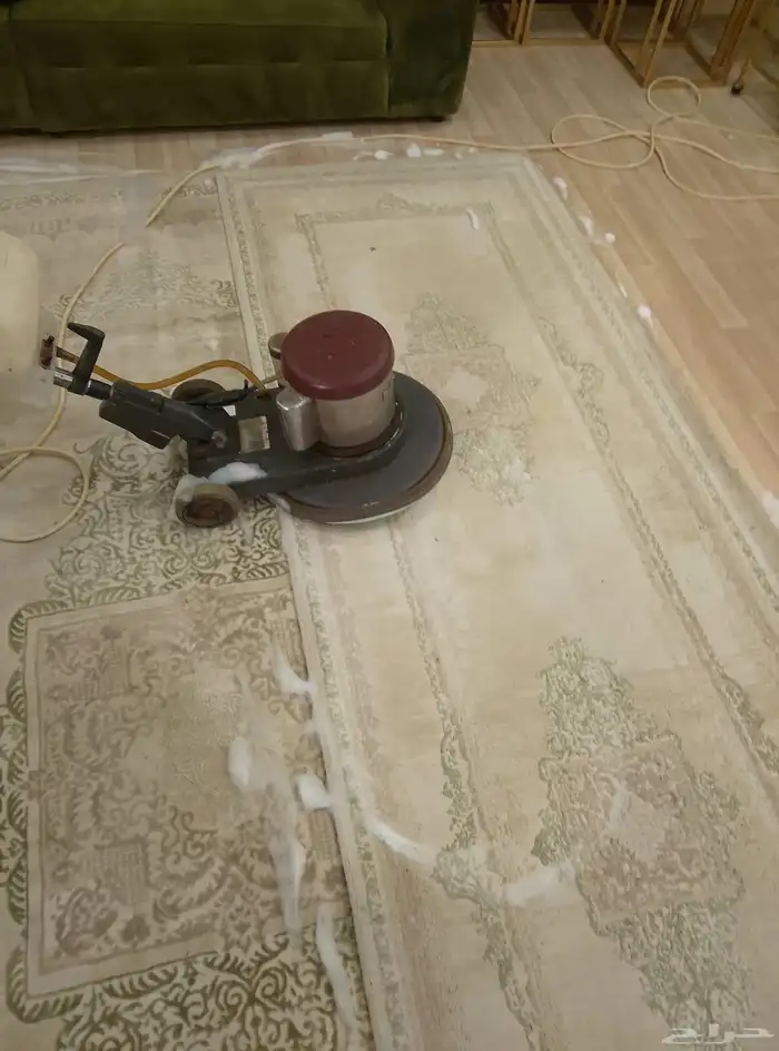 شركة تنظيف ومكافحة الحشرات بالدمام والخبر 0