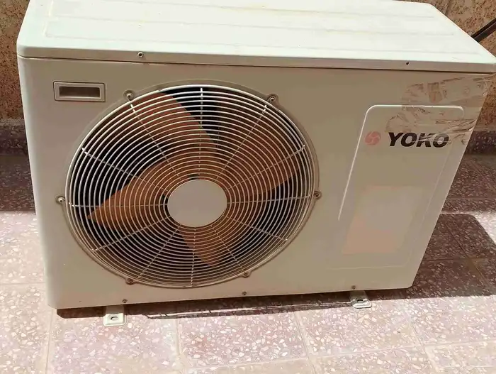الرياض الرياض 3