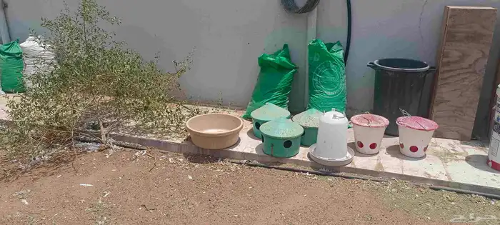 مشارب بعوامة عدد 3 حبات ومشربيتين بدون عوامة ومعلفين للطيور 1