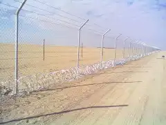 يوجد لدينا جميعا انوع انخيل الرياض المزحميه الدوادمي 7