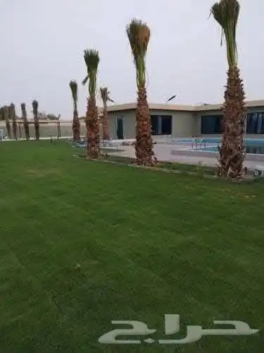 تنسيق حدائق وتركيب جميع انواع الثيل الصناعى والطبيعى 1