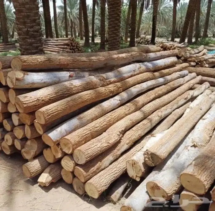 تراث والحجر نشتغل في انحا المملكه 6