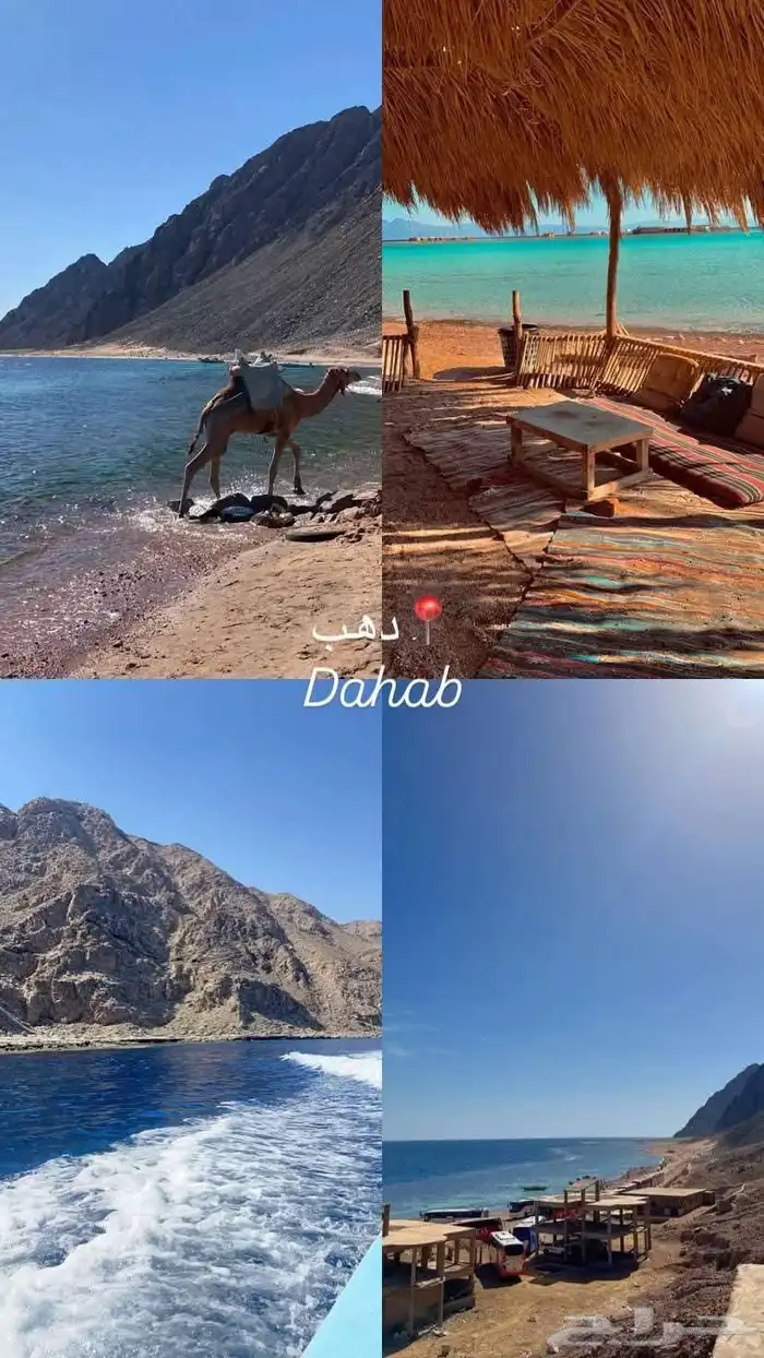 حجز الفنادق والشقق والرحلات السياحية في مصر 42