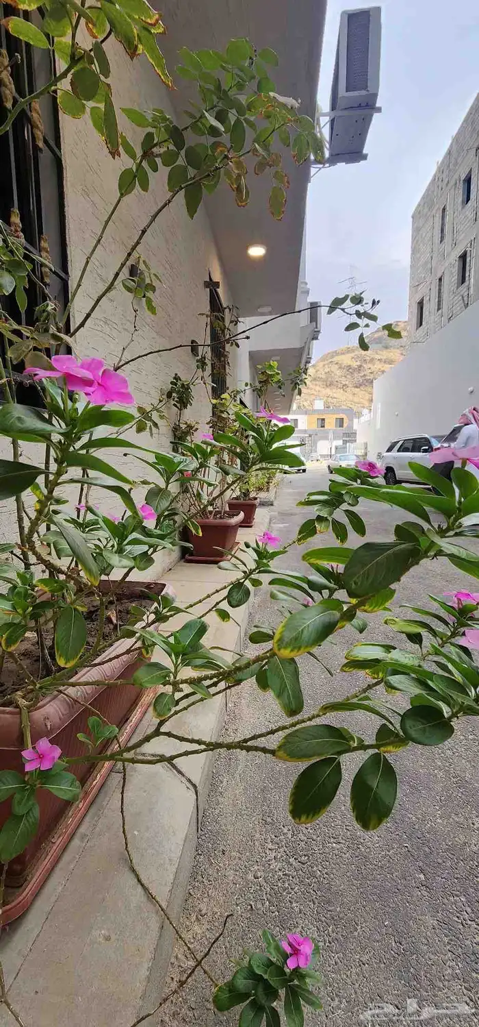 ملحق للبيع في الوسام 1 13