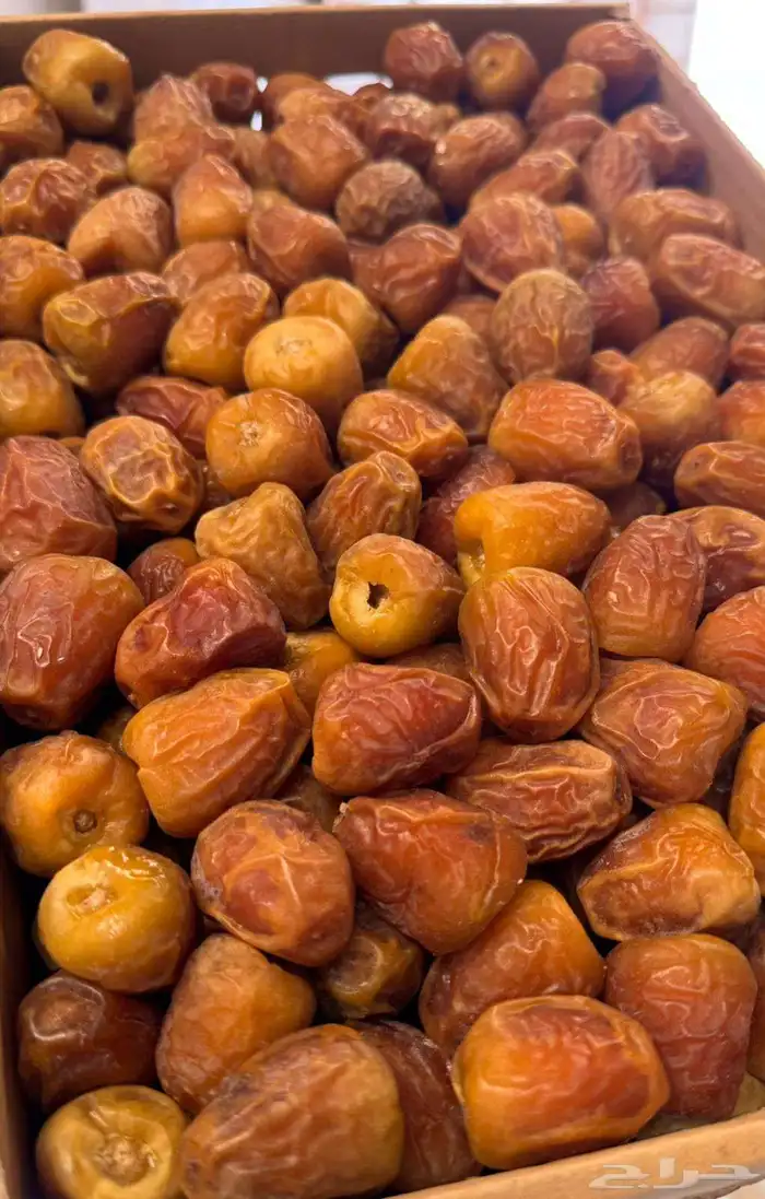 تمور القصيم 1