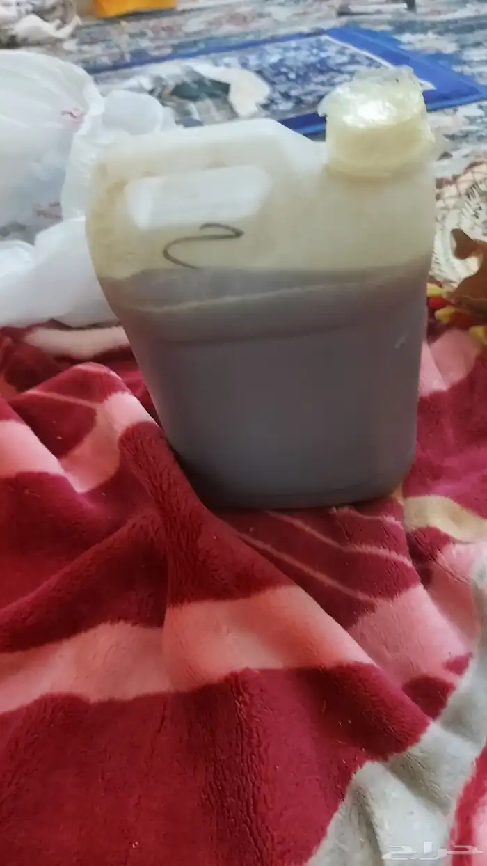عسل سدر اصلي 0