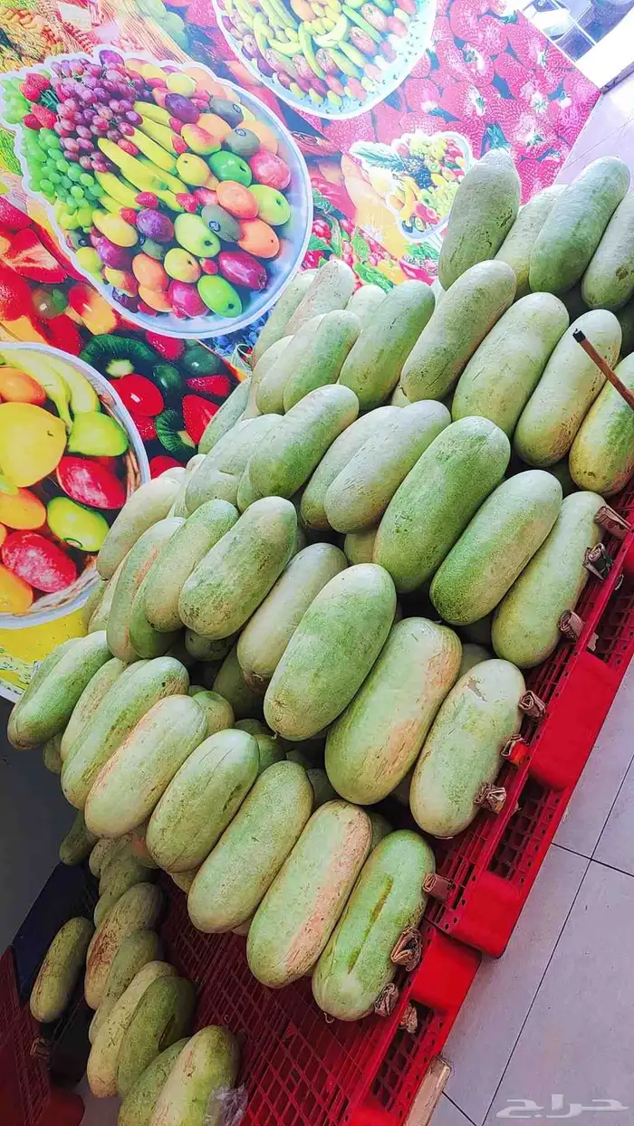 حبحب حمار وأ حلا جماله وأ تجزه. داخل الطائف 0
