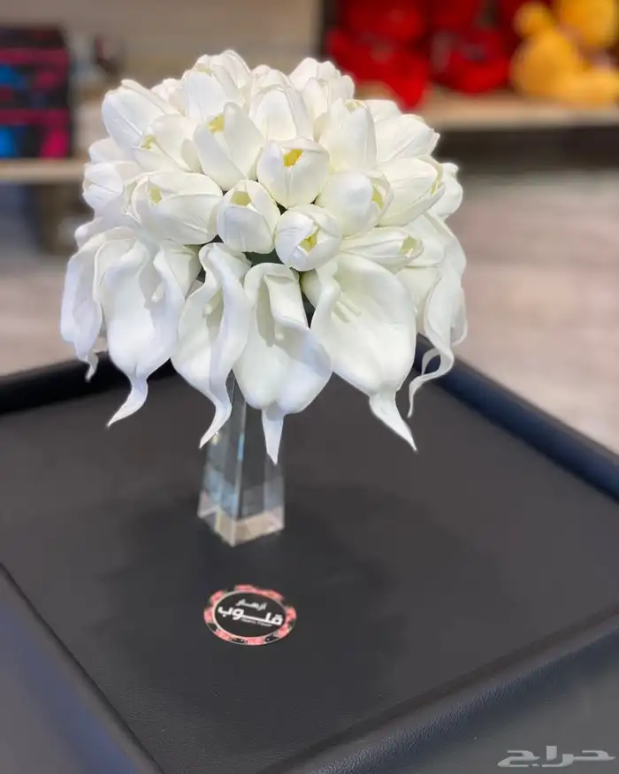 كوش مداخل 3