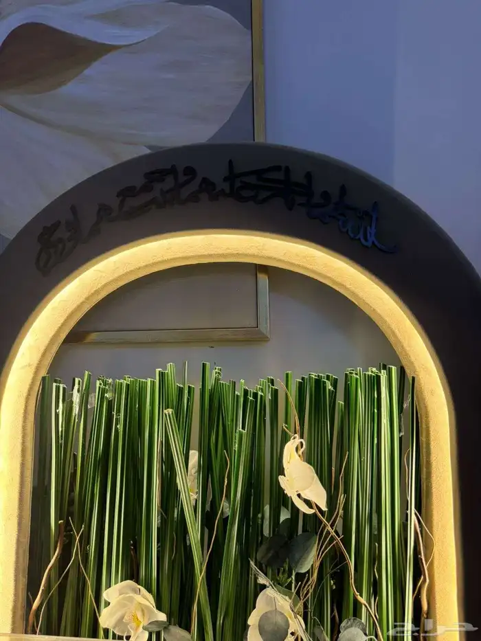 طاولة ملكة شبكة 7