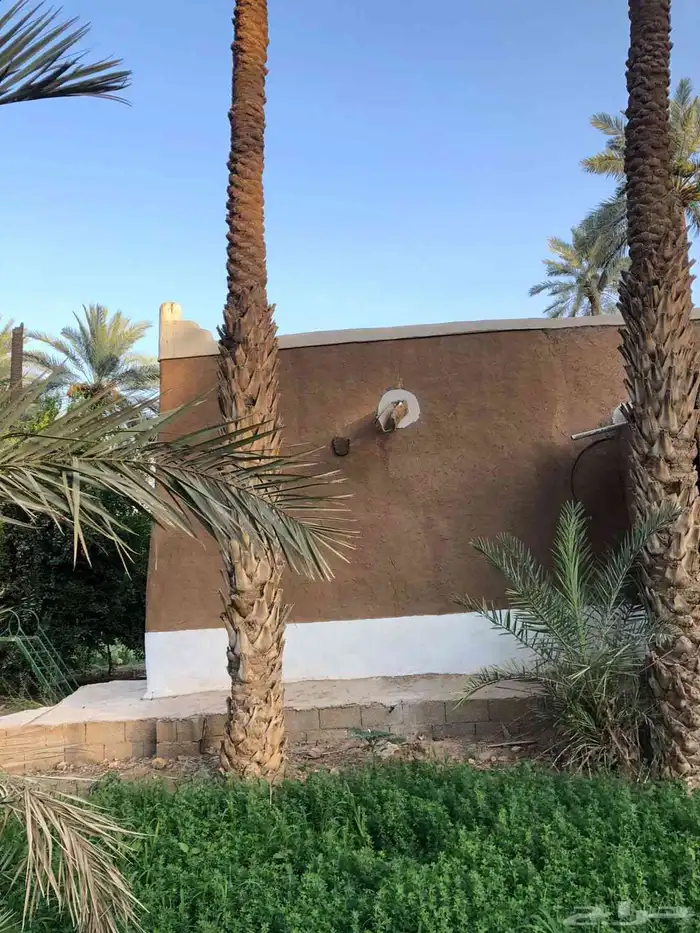 مقاول تراث بناء وترميمات 1