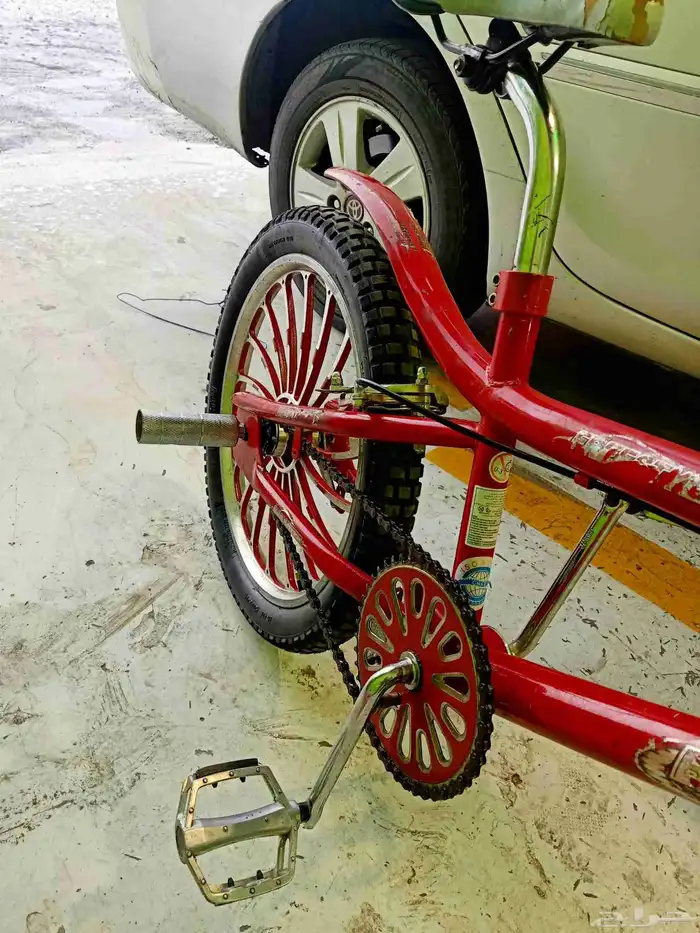 سيكل كوبرا نضيف مقاس 20 1