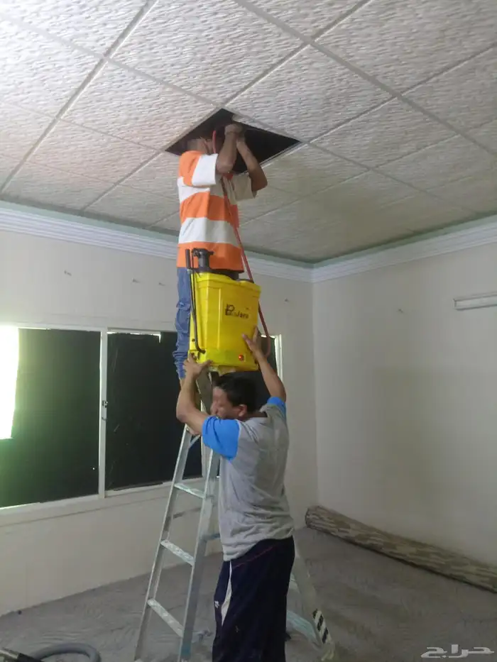 شركه مكافحه حشرات با طائف 0