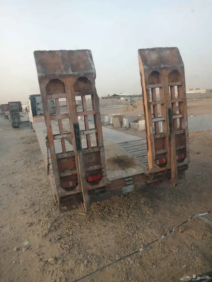لوبد في المدينة النمور عل القصيم او ارياض او دمام 0