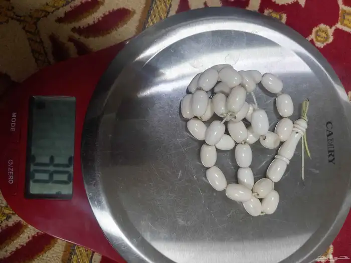 سبح عاج ناب الفيل 16