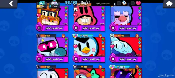 حساب براول للبيع 4