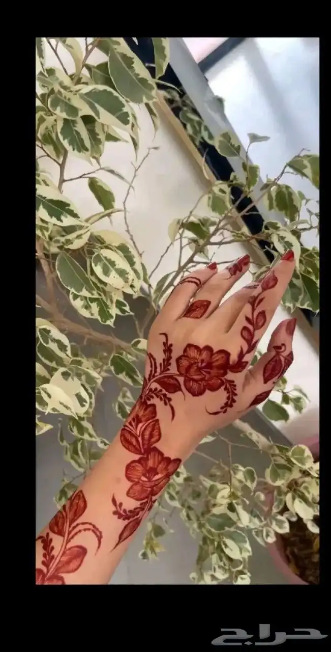 نقاشه الرياض العرايس والعادي 8