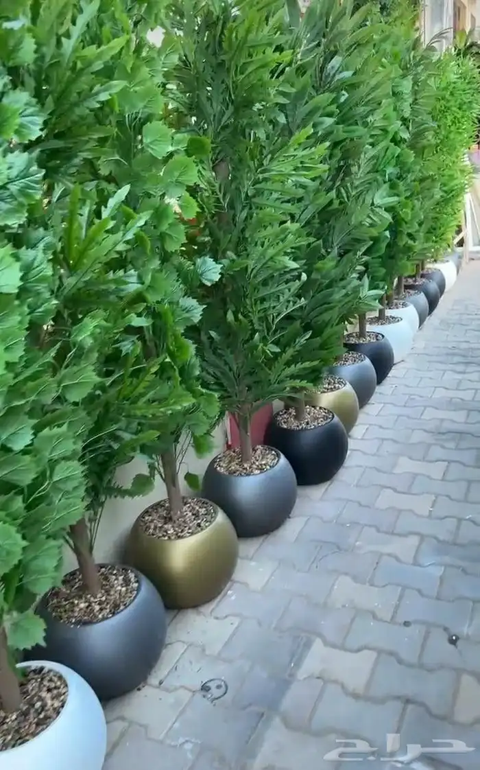 طقم  نبات خارجيه حديد وخشب وطاولات شاي 1