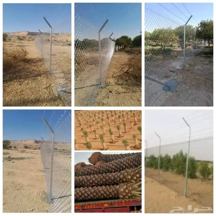 مقاول شبوك ونخيل 5