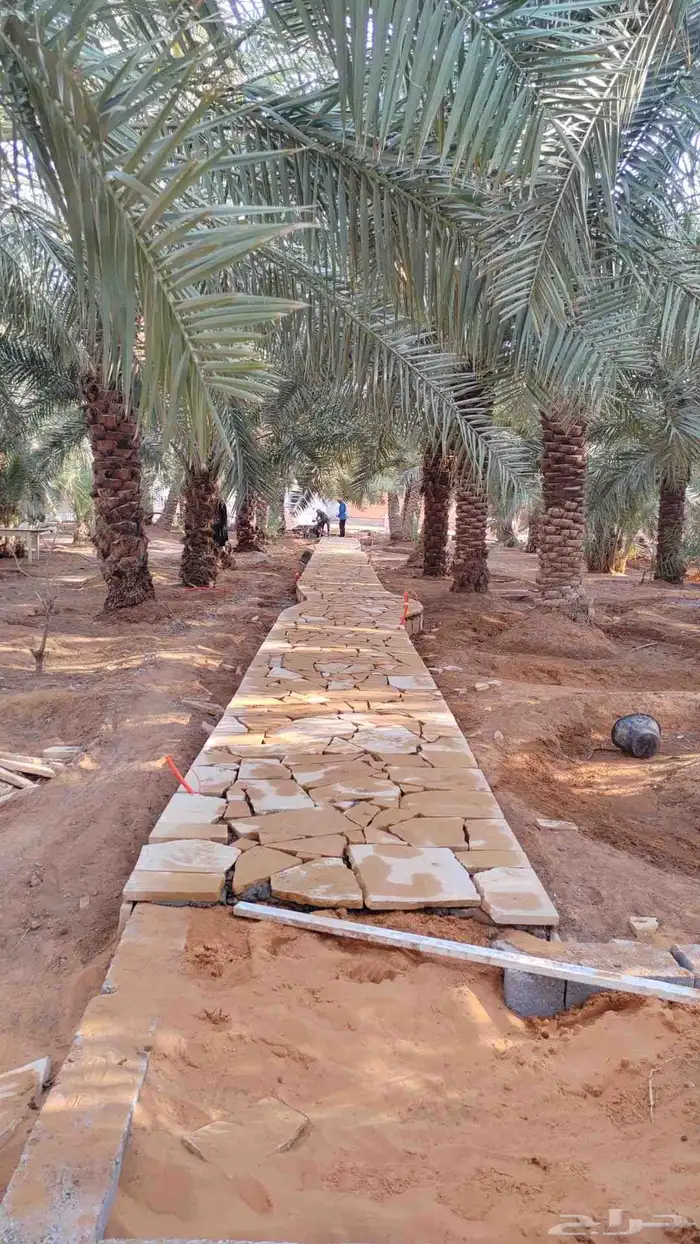 مقاول طين تراثي وحجر طبيعي وحجر كسر مصانع 2