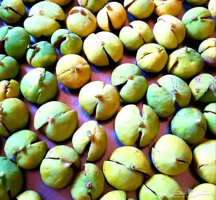 تين مجفف سوري ممتاز ونظيف 4