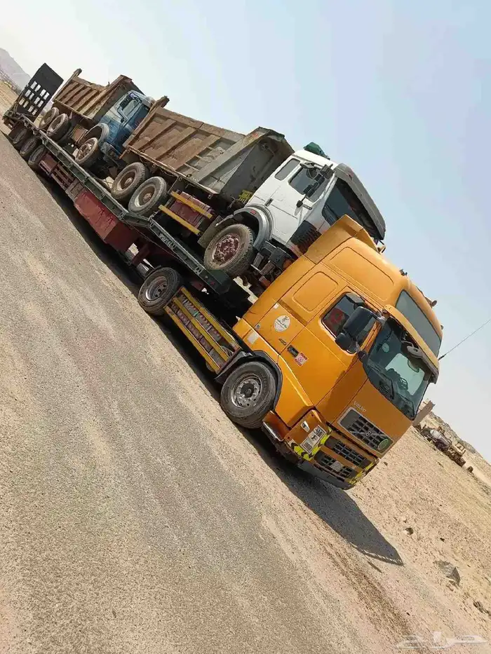 لوبد متواجد ب الرياض 1
