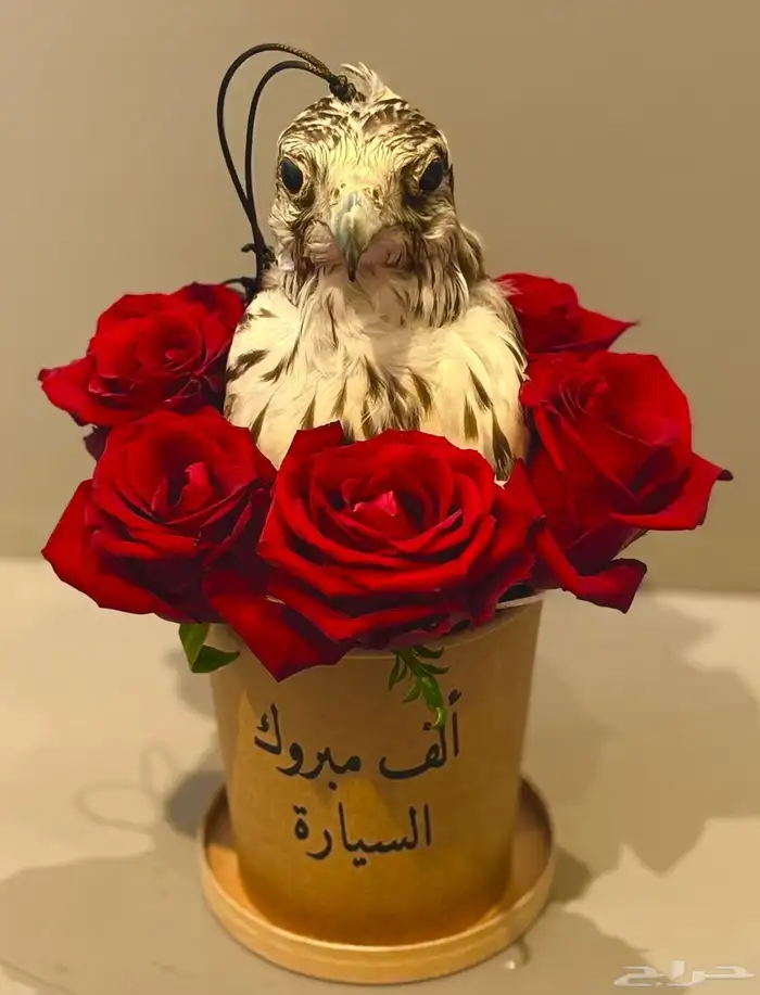 كوب مع ورد وطائر محنط 0