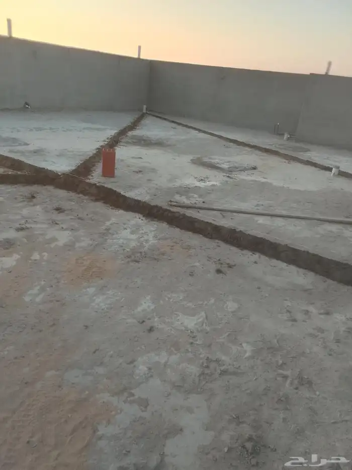 فني عواز 4
