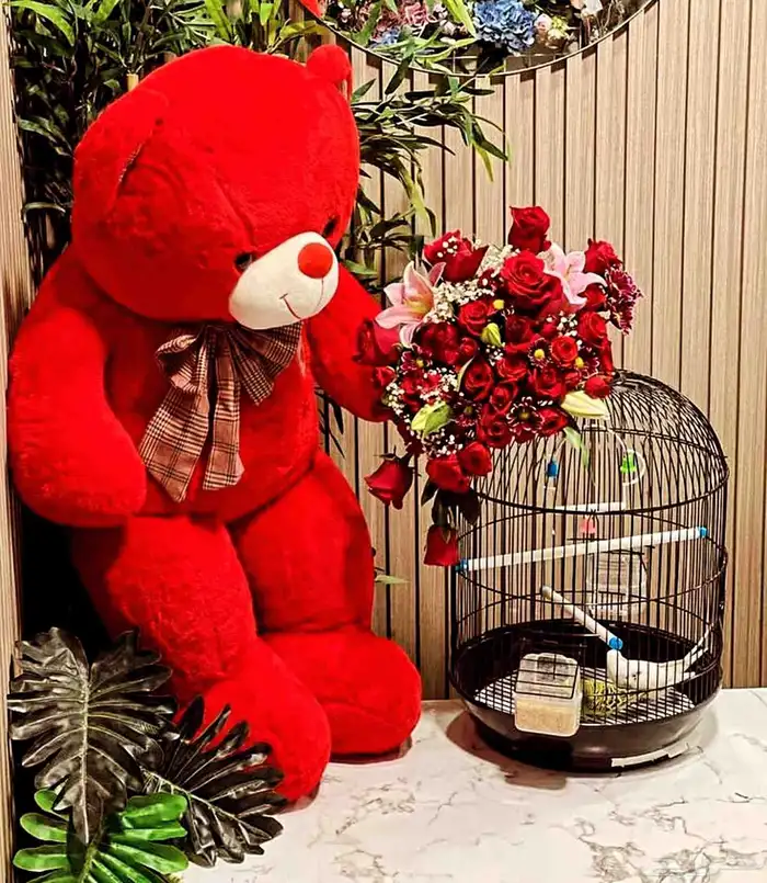 مندوب هدايا ابها وخميس مشيط 2