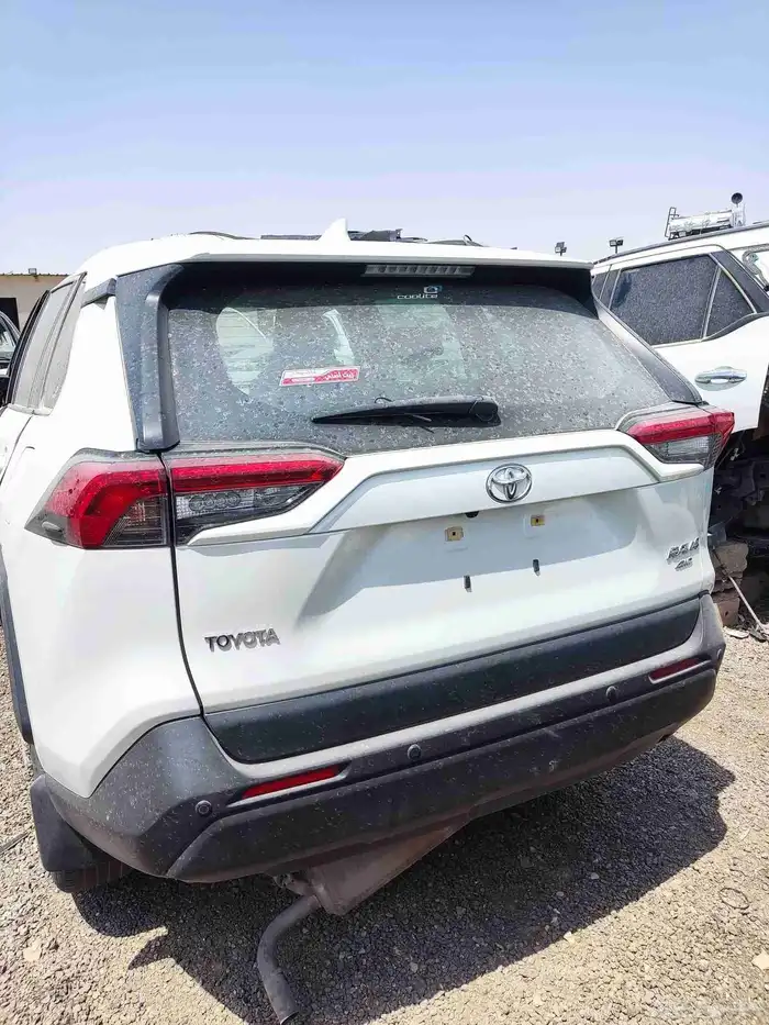 راف فور 2021 1