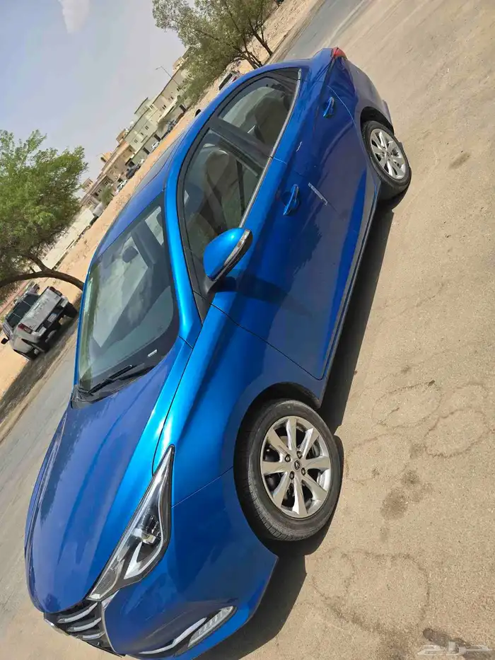 شنجان السفن 2024 5