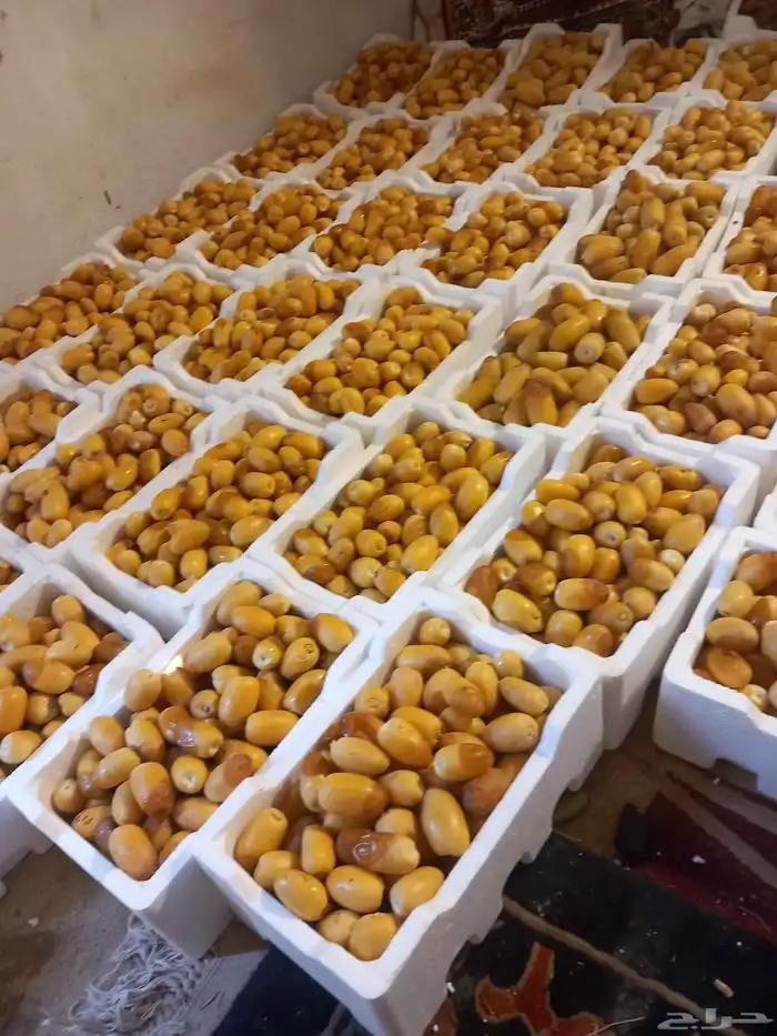 يوجد تمر خلاص وسكري وا منيفي روثانه وكل انواع التمر 0