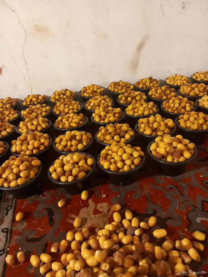 يوجد تمر خلاص وسكري وا منيفي روثانه وكل انواع التمر 2