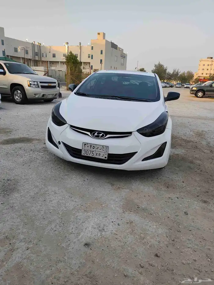 القطيف 5