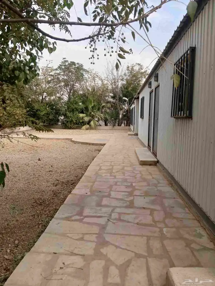 استراحة للايجار معا بيت شعر سنوي 0