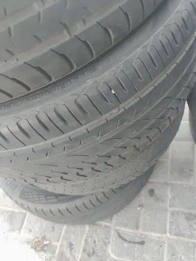 دواجن 0