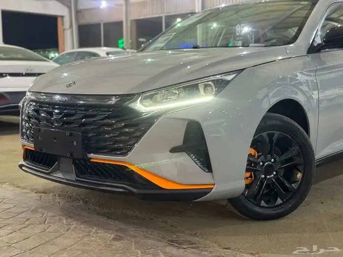 شاين دونج فينج موديل 2025 1