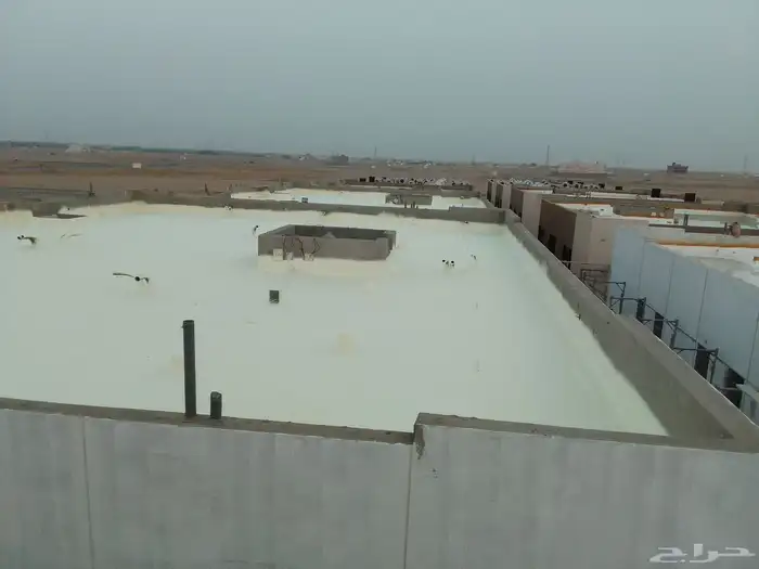 فني عواز 2