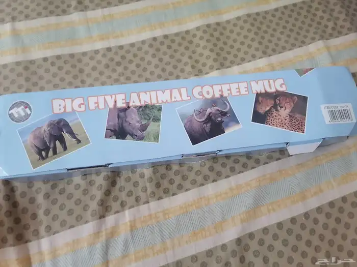 New cup 2